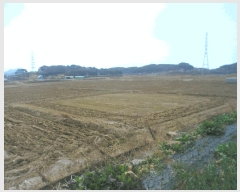  2025Ÿ422 泲   븮 504-10      ()