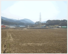  2025Ÿ422 泲   븮 504-10      ()