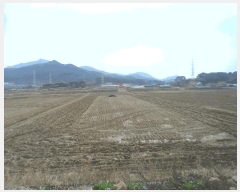  2025Ÿ422 泲   븮 504-10      ()