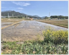  2025Ÿ422 泲   븮 504-10      ()