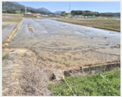  2025Ÿ422 泲   븮 504-10      ()