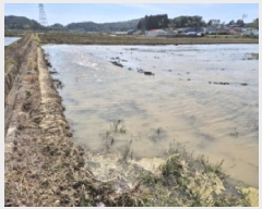  2025Ÿ422 泲   븮 504-10      ()