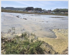  2025Ÿ422 泲   븮 504-10      ()