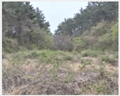  2025Ÿ��429  ����