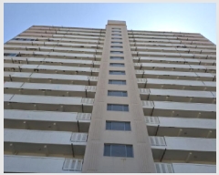  2025Ÿ��437  ����Ʈ���