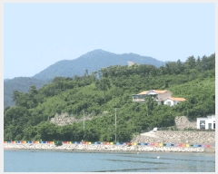  2025Ÿ��469 �泲 ������ ���� �̷渮 993-7      ����(��1)���