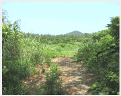  2025Ÿ��469 �泲 ������ ���� �̷渮 993-7      ����(��1)���