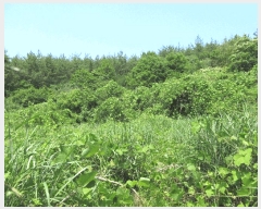  2025Ÿ��469 �泲 ������ ���� �̷渮 993-7      ����(��1)���