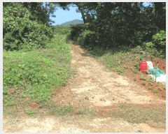  2025Ÿ��469 �泲 ������ ���� �̷渮 993-7      ����(��1)���