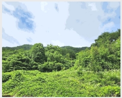  2025Ÿ��501  �Ӿ߰��