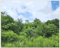  2025Ÿ��501  �Ӿ߰��