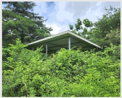  2025Ÿ��501  �Ӿ߰��