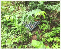  2025Ÿ��501  �Ӿ߰��