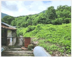  2025Ÿ��501  �Ӿ߰��