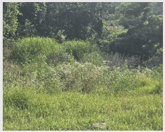  2025Ÿ��533 �泲 ������ �Ͽ�� ������ 678-1      ����(��1)���