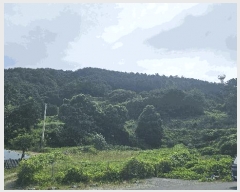  2025Ÿ��533 �泲 ������ �Ͽ�� ������ 678-1      ����(��1)���