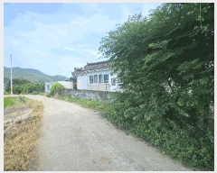  2025Ÿ��541  ���ð��