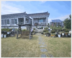  2025Ÿ��541  ���ð��