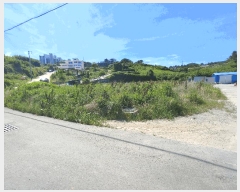  2025Ÿ��549  ����