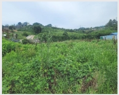  2025Ÿ��549  ����