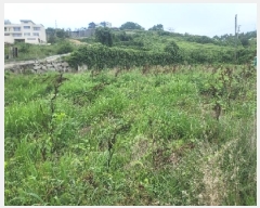  2025Ÿ��549  ����