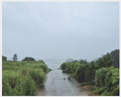  2025Ÿ��557 �泲 ������ ���� ������ 10-5      ����(��1)���