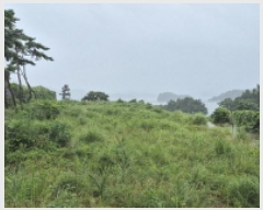  2025Ÿ��557 �泲 ������ ���� ������ 10-5      ����(��1)���