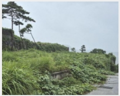  2025Ÿ��557 �泲 ������ ���� ������ 10-5      ����(��1)���