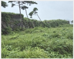  2025Ÿ��557 �泲 ������ ���� ������ 10-5      ����(��1)���