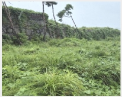  2025Ÿ��557 �泲 ������ ���� ������ 10-5      ����(��1)���