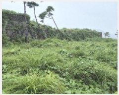  2025Ÿ��557 �泲 ������ ���� ������ 10-5      ����(��1)���