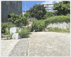  2025Ÿ��565  ��������