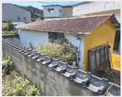  2025Ÿ��615  ���ð��