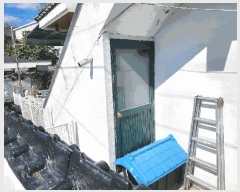  2025Ÿ��615  ����Ʈ���