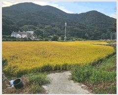  2025Ÿ��623  ����