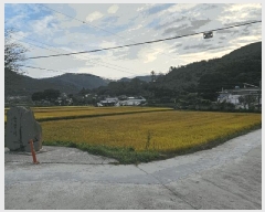  2025Ÿ��623  ����