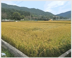  2025Ÿ��623  ����