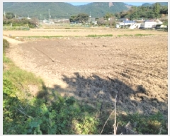  2025Ÿ��623  ����