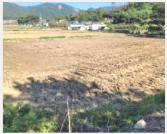  2025Ÿ��623  ����