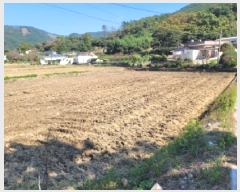  2025Ÿ��623  ����