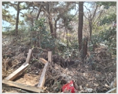  2025Ÿ��20125  �󰡰��