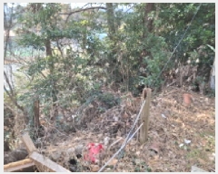  2025Ÿ��20125  �󰡰��