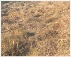  2025Ÿ20613 泲  ֵ 1680-2       ()