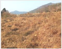  2025Ÿ20613 泲  ֵ 1680-2       ()