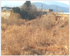  2025Ÿ20613 泲  ֵ 1680-2       ()