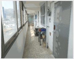  2025Ÿ20705 泲  Ͽ  2454-6, 1 8804ȣ (ſǼ)   Ʈ