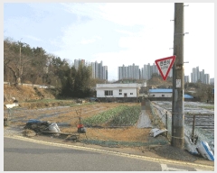  2025Ÿ��20942 �泲 ������ ������ 110-5       ���ð��