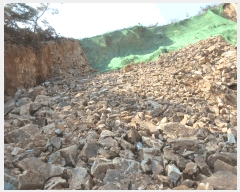  2025Ÿ��20984  �Ӿ߰��