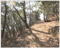  2025Ÿ��20984  �Ӿ߰��