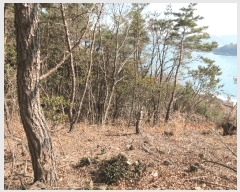  2025Ÿ��20984  �Ӿ߰��